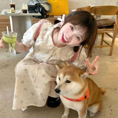 赖猫的狮子倒影